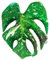 Outentin Blumenkissen, Sofakissen für Wohnzimmer & Kinderzimmer, Deko Sitzkissen mit Blumenform, Ästhetisches Blumenbodenkissen, Kuschelkissen für Mädchen, 42 x 32 cm (Monstera Thai)