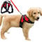 FUNKEEN PET HOUSE No-Pull Padded Adjustable Puppy Dog Training Walking Soft Harness Vest (M, Red)