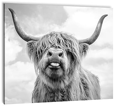 LXTOPN Hochlandrind Bild Schwarz Weiß Wandbilder, Kuh Poster mit Rahmen, Highland Cow Bilder für Wohnzimmer Schlafzimmer - Bereit zum Aufhängen