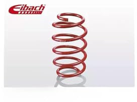EIBACH F21-65-001-01-HA Fahrwerksfeder Spiralfedern, Spiralfeder, Schraubenfeder Hinten