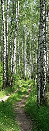 A.Monamour Türtapete Selbstklebend Türfolie Türposter 3D Birke Wald Schmaler Weg Natur Landschaft Vinyl Folie Türdeko Tapete Wandbild Türaufkleber Türtattoo 90 x 200 cm