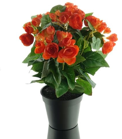 Gasper Elatior-Begonie Orange im schwarzen Topf 38 cm - Kunstblumen