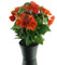 Gasper Elatior-Begonie Orange im schwarzen Topf 38 cm - Kunstblumen