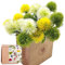 SNAIL GARDEN 15 STK Künstliche Löwenzahn, 3 Farben Löwenzahn Blumen Weiß/Grün/Gelb mit Grußkarte & Papiertüte, Künstliche Hortensie Blumen für Haus Geschenk Büro Dekor