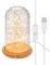 goobay 60340 Cloche en verre avec micro-chaîne lumineuse LED/lampe décorative/lumière chaude et apaisante/éclairage festif pour la décoration d'intérieur/bois véritable/avec interrupteur