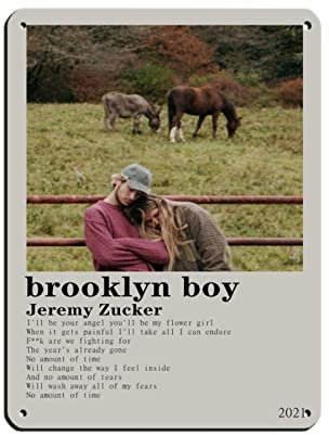 Jeremy Zucker Brooklyn Boy Album Cover The 90s Vintage Poster Blechschild Vintage Metall Pub Club Cafe Bar Home Wandkunst Dekoration Poster Retro 30 x 40 cm