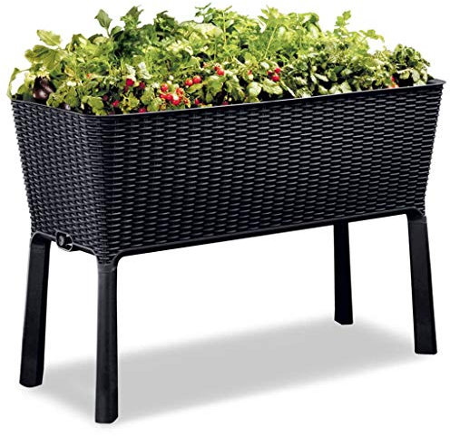 Keter Easy Grow - Fioriera rialzata, con Sistema di irrigazione, Effetto Rattan, Adatta per Balcone, terrazza o Giardino
