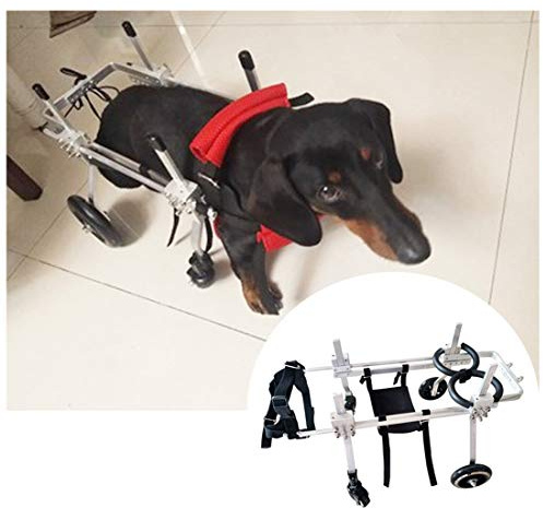 4 hjul husdjur rullstolar för gammal hund, katt, kanin, skoter justerbar husdjursrullstol för små och medelstora hundar husdjur Scooter hundvagn (5 storlekar), XXS