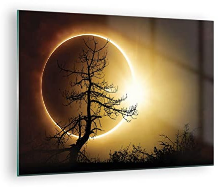 ARTTOR Bilder auf Glas Sonnenfinsternis die Sonne Baum Glasbild 70x50cm Wandbilder Dekoration Wohnzimmer Schlafzimmer Küche Deko Klein Wanddeko Bild im Glas Wand Kunstdruck Art Modern GAA70x50-4349