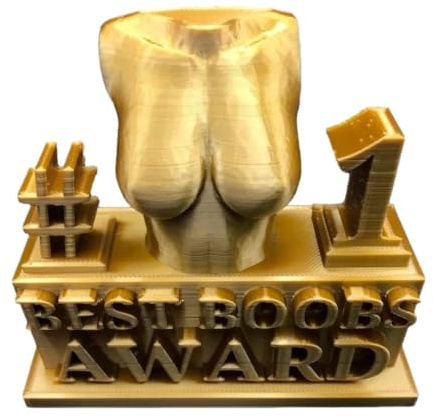 Generisch Boobs Award Statue - Funny Naughty Prank Boobs Statue | Small and Golden Color Cute Award for Women, Decorative and Multiuse Resin Desktop Home Decor, Party Sheild Decorations