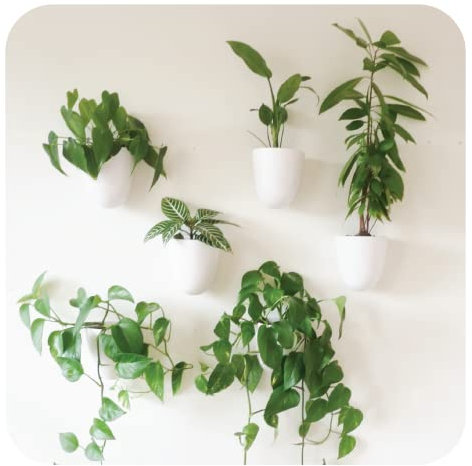 Make Good Virgo Self-Watering Wall Planters (Set of 6) - Lightweight and Easy to Install - Design Your Own Vertical Garden - Melamine Plastic