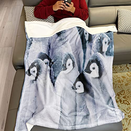 Violetpos Dick Decke Weich Wärme Gemütlich Flanell Fleece Sofadecke Pinguin Tier Schnee Weiß 125 x 200 cm