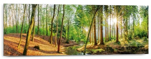 REINDERS Wandbild, Sonniger Wald, Wohnzimmer, Bilder, Wanddeko, Room Decor, MDF, Grün, 30 x 90