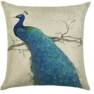 hengjiang Vogel Pfau Kunst Überwurf Kissen Doppelseitig Kissen Baumwolle/Leinen Home Sofa Decor Geschenk Feder 06