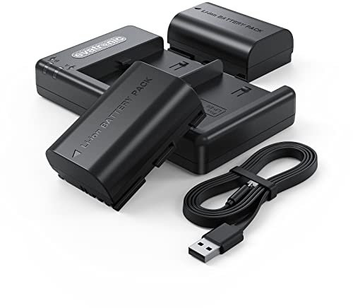 LP-E6 LP-E6N Kamera Akkus, Evatronic 2er Pack 2040mAh Kamera Ladegerät Set, Dual Slot Kompatibel für Canon EOS 90D 80D 70D 5D Mark II III IV 5DS 5DS R R5 6D 60D 6D Mark II 7D 7D II XC10 XC15