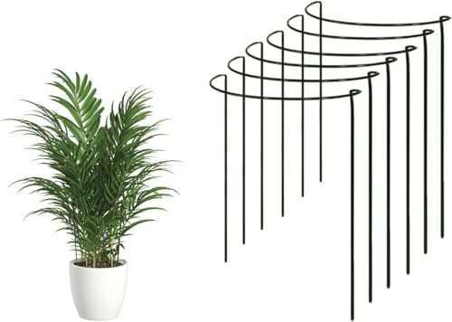 Plant Support Stakes - Ring Cage Metal Garden Plant Stakes. Green Half Round Plant Support Ring. Plant Supports for Pots and House Plants. (3, 60cm Tall x 30cm Wide)