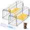 4 Pack Humane Mouse Traps for Indoor Outdoor: Mouse Traps for indoor, Pets and Children Friendly, Live Catch and Release Includes Cleaning Brush, Washable, Reusable Rodent Mouse Trap No Kill