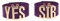 Udekit Verstellbar Luxus Lila Gürtel Leder Armband für Damen Frauen Mädchen Kinder Prime Cosplay Zubehör (2 Stück/Set)