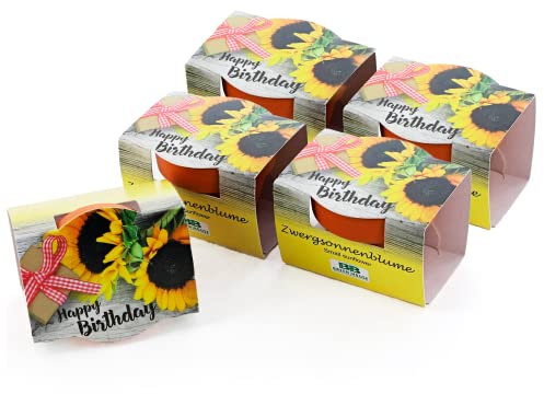 Bull & Bear 5er Set Mini Pflanzset 'Happy Birthday', Blumensamen im Topf 4,5cm, Mini Sonnenblume als Anzuchtset mit Pflegeanleitung