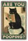 KONFEN Katze Metall Zinn Schild, Are You Pooping Retro Plaqu Poster Wall Art Print Dekoration 8 * 12 Zoll für Home Bar Badezimmer Tür Coffee Shop
