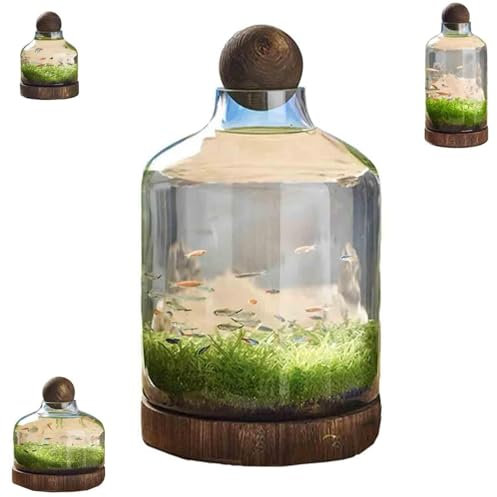 FkYstrix Clear Glass Fish Tank Aquarium Kit Plant Propagation Stations Hydroponic Terrarium Vase Desktop Fish Bowl for Fish Plants, D