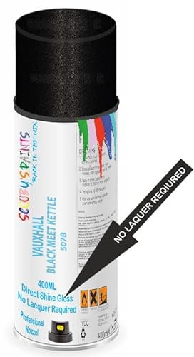 SCOOBYS PAINTS BACK IN THE MIX Direct Gloss Aerosol Spray Paint For Vauxhall Black Meet Kettle Code: 507B No Lacquer Required
