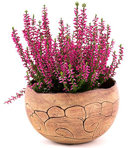 Manufaktur Martinshof Übertopf Kugel (12 cm) Schnecke, Pflanzgefäß,Blumentopf, Blumenkübel 28.001