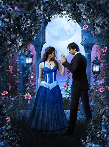 mgrlhm 5D Diamond Painting Die Vampire Diaries Diamond Stickerei Poster Full Diamond Cross Stitch Kit Mosaik Home Wanddekoration Kunst Geschenk ohne Rahmen 40x50cm