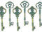 Makhry Mixed 20 Extra Large Antique Gold Finish Skeleton Key Rustic for Wedding Party Favor Decoration (Antique Green)