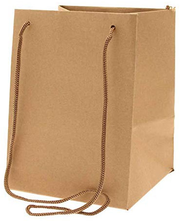 Pack of 10 Hand Tied Florist Flower Gift Bags with Rope Handle - Colour Choice (Kraft)