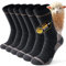 Alaplus Chaussettes Mérinos Chaussettes en laine Outdoor & Trekking Professional Mérinos de randonnée Chaussettes de sport de course pour hommes & femmes, 3 paires, Noir, 43-46
