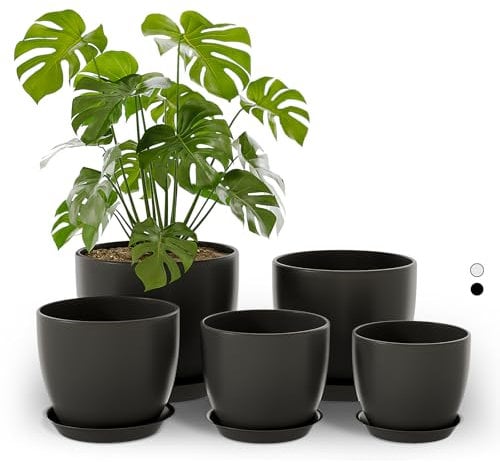 Bamworld Vaso per Piante da Interno con drenaggio Nero 5 Pezzi 11.3cm/12.7cm/14cm/16cm/17.8cm Vasi di Plastica per Piante da Interno, Fiori, Cactus