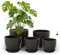 Bamworld Vaso per Piante da Interno con drenaggio Nero 5 Pezzi 11.3cm/12.7cm/14cm/16cm/17.8cm Vasi di Plastica per Piante da Interno, Fiori, Cactus