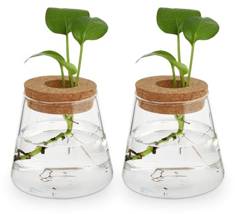 Pflanzen-Anzuchtgläser, Pflanzen-Terrarium: 2 Stück, Desktop-Pflanzgefäß, Desktop-Pflanzgefäß, Glasvase für Hydrokultur, Haus, Garten, Büro, Dekoration