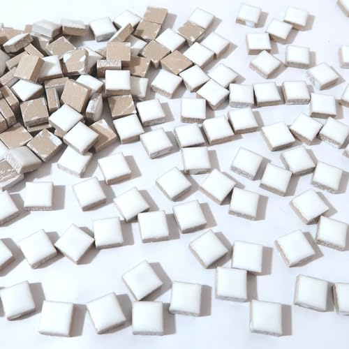 Brueyart 100 tessere quadrate per mosaico – 16 colori, 12 mm piastrelle in ceramica colorata per la decorazione della casa – bianco