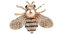 HSQYJ Broche abeille en cristal sur le thème des insectes - Broche tendance en forme d'abeille - Broche dorée, Coquillage, perle, Cristal