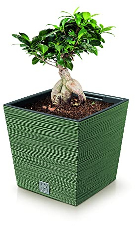 URBNLIVING Square Modern Grain Look Planter Low Flower Plant Pot Indoor Outdoor Garden Decor Contemporary (Earth Green)