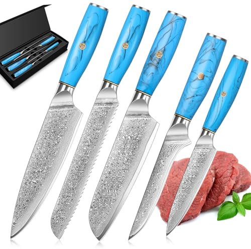 Home Safety Damascus Kitchen Knife Set, 5PCS, Kitchen Knifes Made of 67 Layers of Vg-10 Damascus Steel, Chef Knifes Set with Ergonomic Natural Resin Handle, Gift Box, for Home Restaurant Kitchen