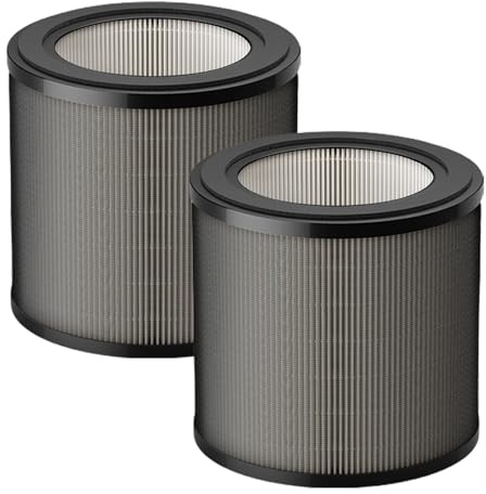 FY0900 - Filtro di ricambio compatibile con Philips 900 serie AC0920/10 AC0921/14 purificatore d'aria 2 in 1 H13 di ricambio HEPA FY0900/30, 2 pezzi