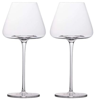 INTIRILIFE 2x Wein Glas mit modernem Design - 600 ml Füllmenge - Weißwein Rotwein Glas Kelch Spülmaschinenfest Kristallglas stoßfest
