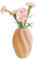 Marooma Glasvase Im Drehbaren Stil, Elegante Blumenvase für Heimdekoration, Boho-Vase für Blumen, Moderne Dekorative Vase für Büro, Schlafzimmer, Wohnzimmer, Tischdekoration (B1)