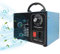 Ozonizador 10000 MG/h Ozonator Generador de Ozoner Máquina de Filtro de Aire Portátil para Purificación de Aire y Eliminación de Olores Purificador de Aire para Baño Oficina Hogar Coche