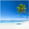 Wallario Glasbild Weißer Sandstrand am Meer - EIN Traum unter Palmen - 50 x 50 cm Wandbilder Glas in Premium-Qualität: Brillante Farben, freischwebende Optik