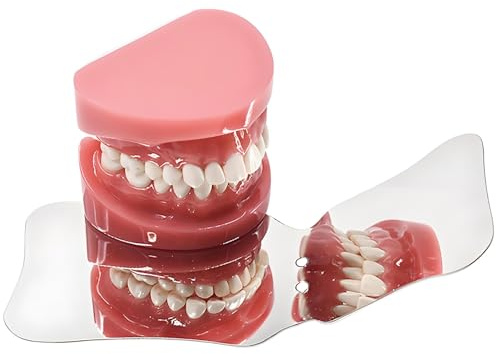 Dentalfotografie-Spiegel Aus Rostfreiem Stahl, Zahnspiegel,Oralreflektor Für Kieferorthopädische Zwecke, Mundspiegel Professionelles Zahnarzt Instrumente(A)