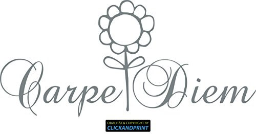 CLICKANDPRINT Aufkleber » Carpe Diem, 120x55,0cm, Grau • Wandtattoo/Wandaufkleber/Wandsticker/Wanddeko/Vinyl