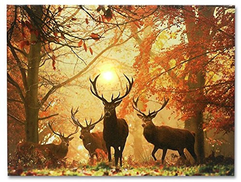YISUMEI Decke 150x200 cm Kuscheldecken Sanft Flanell Weich Fleecedecke Bettüberwurf Hirsch im Herbst Wald