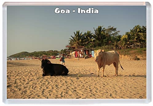 Goa - India - Jumbo Fridge Magnet/Magnets BBSM845