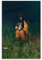 TRISO SZA Album Poster New Album Lana SOS Classic 1 Poster Poster Dekorative Malerei Leinwand Wandkunst Wohnzimmer Poster Schlafzimmer Malerei 08x12inch(20x30cm)