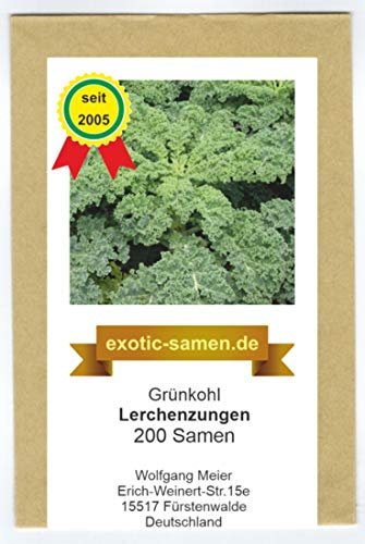 Grünkohl - Winterkohl - halbhohe Sorte - Lerchenzungen - samenfeste Sorte - 200 Samen