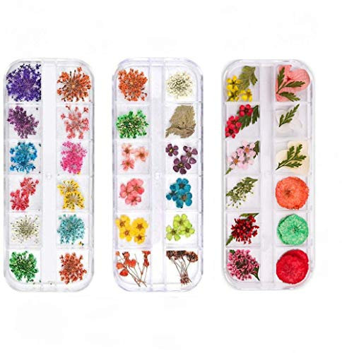 Nagel Getrocknete Blumen Set - 3 Boxen Mehrfarbige Trockenblumen für Nail Art, Harzschmuck, Kerzenherstellung, DIY Handwerk